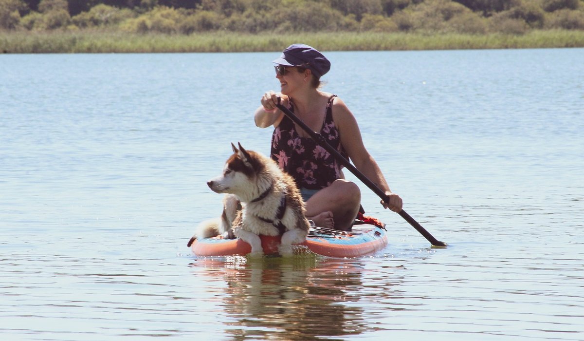 Sue's Canoes