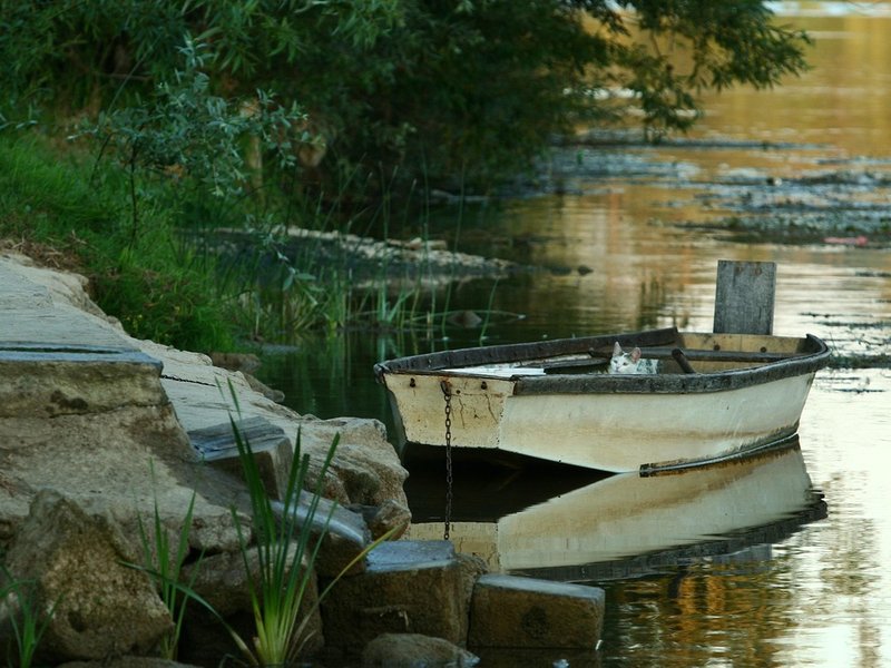 Sue's Canoes