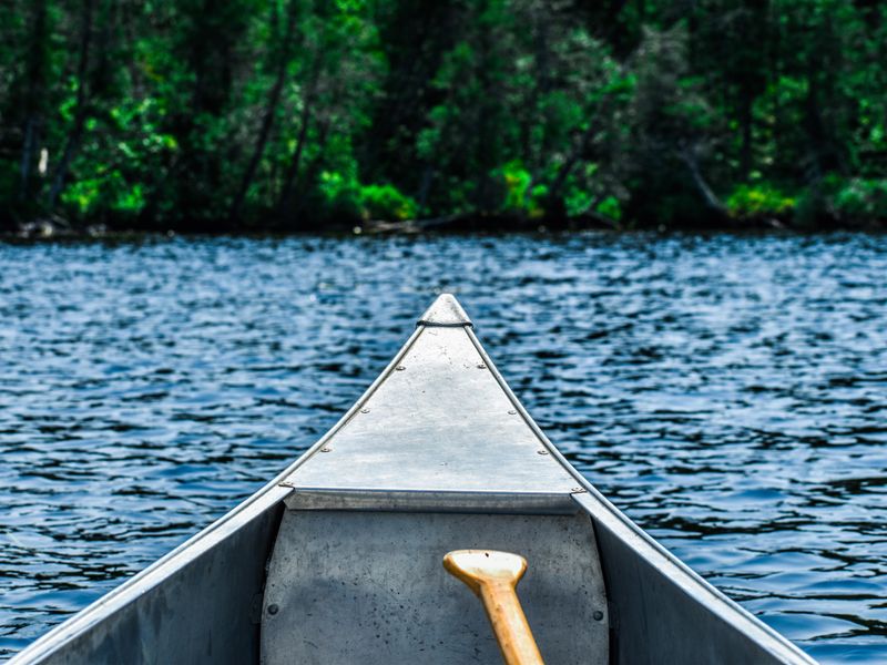 Sue's Canoes